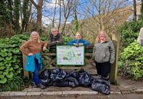 City litter pick sees 155 bags collected 