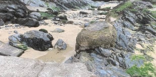 Sea pool group receives criticism after pulling plug on plans