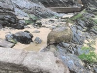Group behind plans to restore sea pool admit defeat