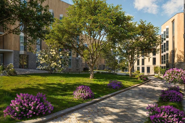 How part of the Halo Village student development could look (Picture: Verto)