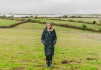Cornwall MP calls for strategy to tackle rural poverty and energy crises