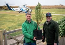 Endangered Mulanje cedar planted in Tresco