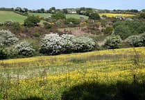 Henwyn tyller/Place names: Bissoe