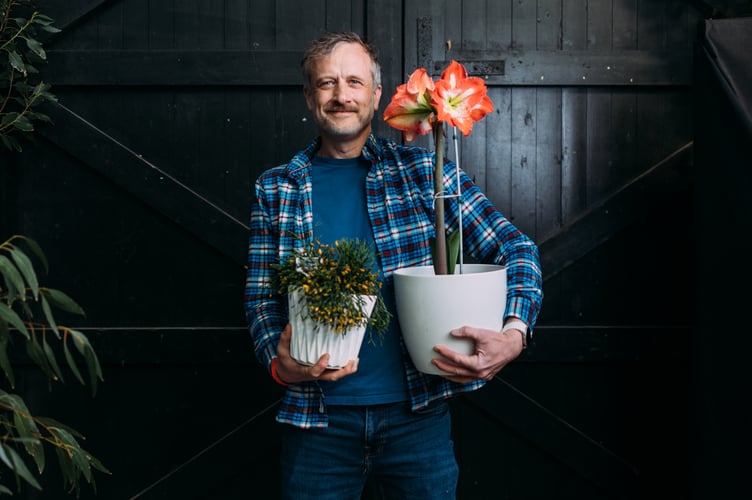 Competitive Classes at the CGS Spring Flower Show - potted plants
