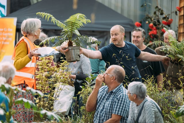 Embracing regeneration: Cornwall Spring Flower Show 