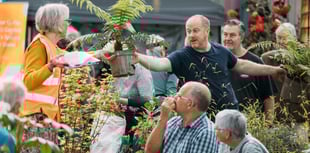 Embracing regeneration: Cornwall Spring Flower Show 