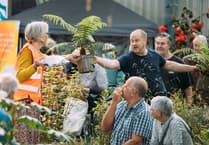 Cornwall's Spring Flower Show 2026: Regeneration and resilience