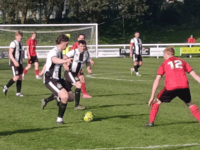 Magpies back up to third with win over youthful Dobwalls