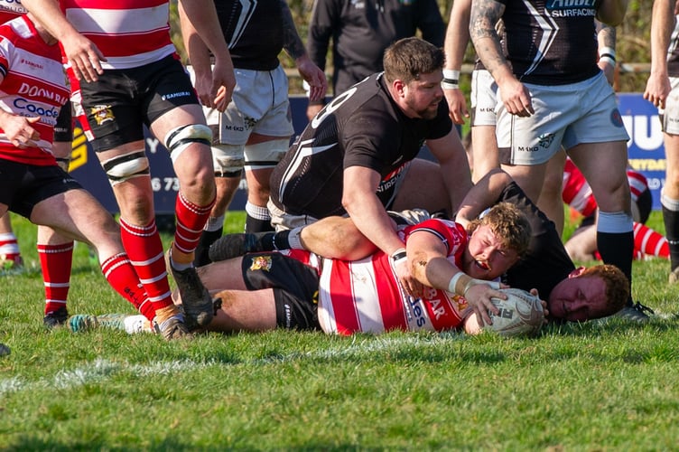 St Austell hooker Pete Harris claims one of his side's tries in their victory over visiting Matson (Picture: St Austell RFC)