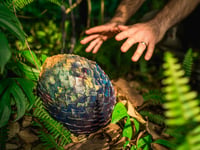 Eden Project invites families to uncover mythical magic