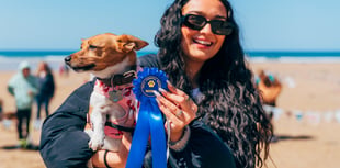 Tails set to wag at Watergate Bay dog show