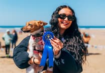 Tails set to wag at Watergate Bay dog show
