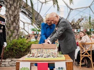 Royal praise for Liskeard baker’s showstopper cake
