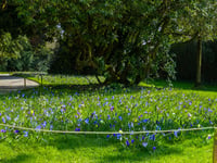 Heligan to show its true colours during Easter holidays