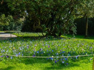 Heligan to show its true colours during Easter holidays