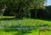 Heligan to show its true colours as it springs into the Easter holidays