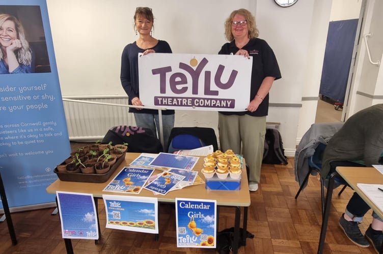 Visitors to the Liskeard Community Fair could find out about all sorts of different organisations, including Teylu Theatre Company