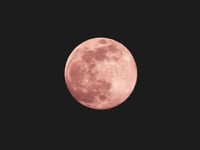 The April Night Sky with Brian Sheen