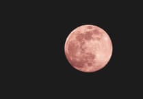 The Night Sky in April with Brian Sheen