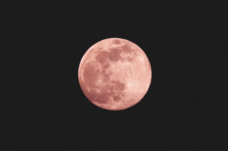 Pink Moon