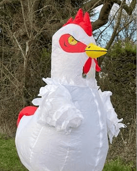 Seb has been on lots of chicken runs