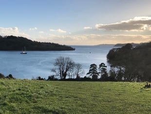 Henwyn tyller/Place names: Trelissick
