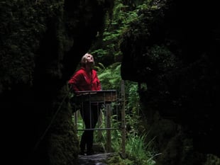 National Trust calling everyone to write to MP to safeguard nature