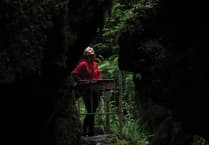 National Trust calling everyone to write to MP to safeguard nature