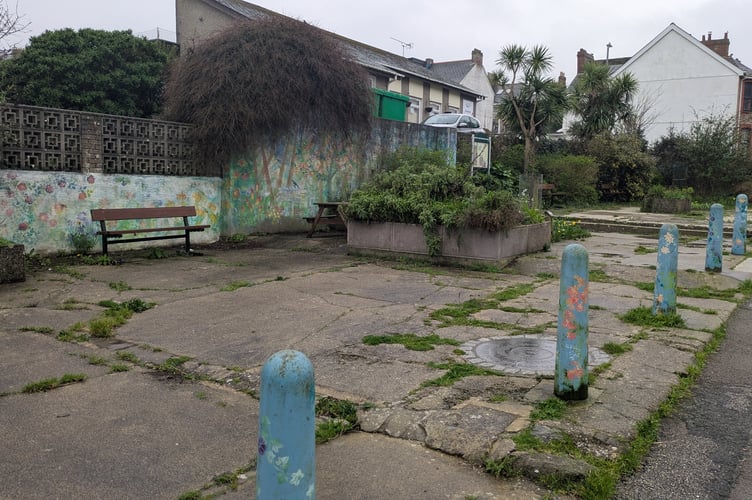 Crantock Street Community Garden is in need of a much needed makeover (Picture: Warren Wilkins)