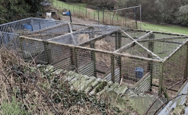 Man fined £12,800 for night time dog noise