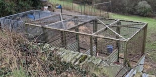 Man fined £12.8k 
for dog noise