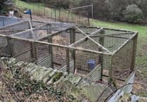 Man who left dogs barking at night ordered to pay £12,800 in fines and court costs