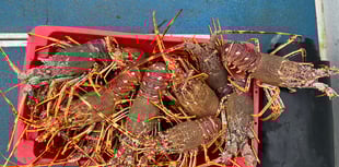 Fishermen fined nearly £10,000 over illegal shellfish offences