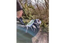 Female artists collaborate with water gardens near St Austell