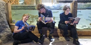 New scheme to encourage reading and library use 