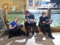 New scheme to encourage reading and library use 
