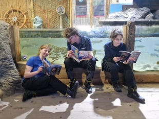 New scheme to encourage reading and library use 