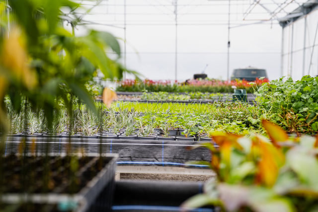 Geothermal energy could transform Cornwall agrifood