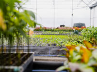 Geothermal energy could transform Cornwall agrifood