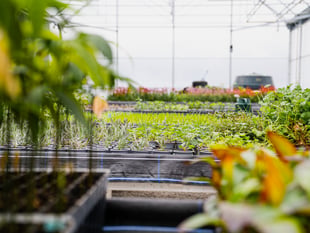 Geothermal energy could transform Cornwall agrifood