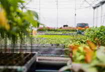 Cornwall’s £2-billion agrifood set for geothermal revolution