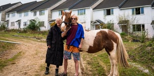 Squatters and ponies take over ghost estate