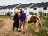 Squatters and ponies take over ghost estate