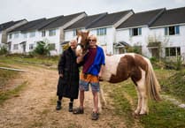 Squatters and their animals occupy St Erth estate