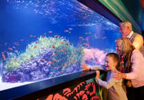 5 Top London Attractions for £59 + Free Theme Park Ticket!*