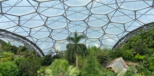 Eden Project to stream live lesson from biome
