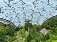 Statement sparks speculation that 'dinosaurs' or 'aliens' are at Eden