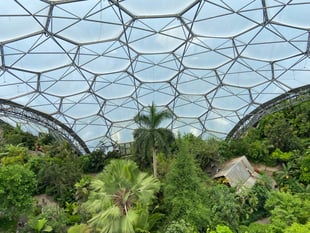 Statement sparks speculation that 'dinosaurs' or 'aliens' are at Eden