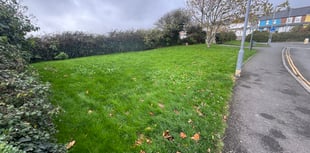 Council puts two pieces of land up for auction