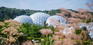 Eden to create a big buzz with Lloyd of the Flies experience